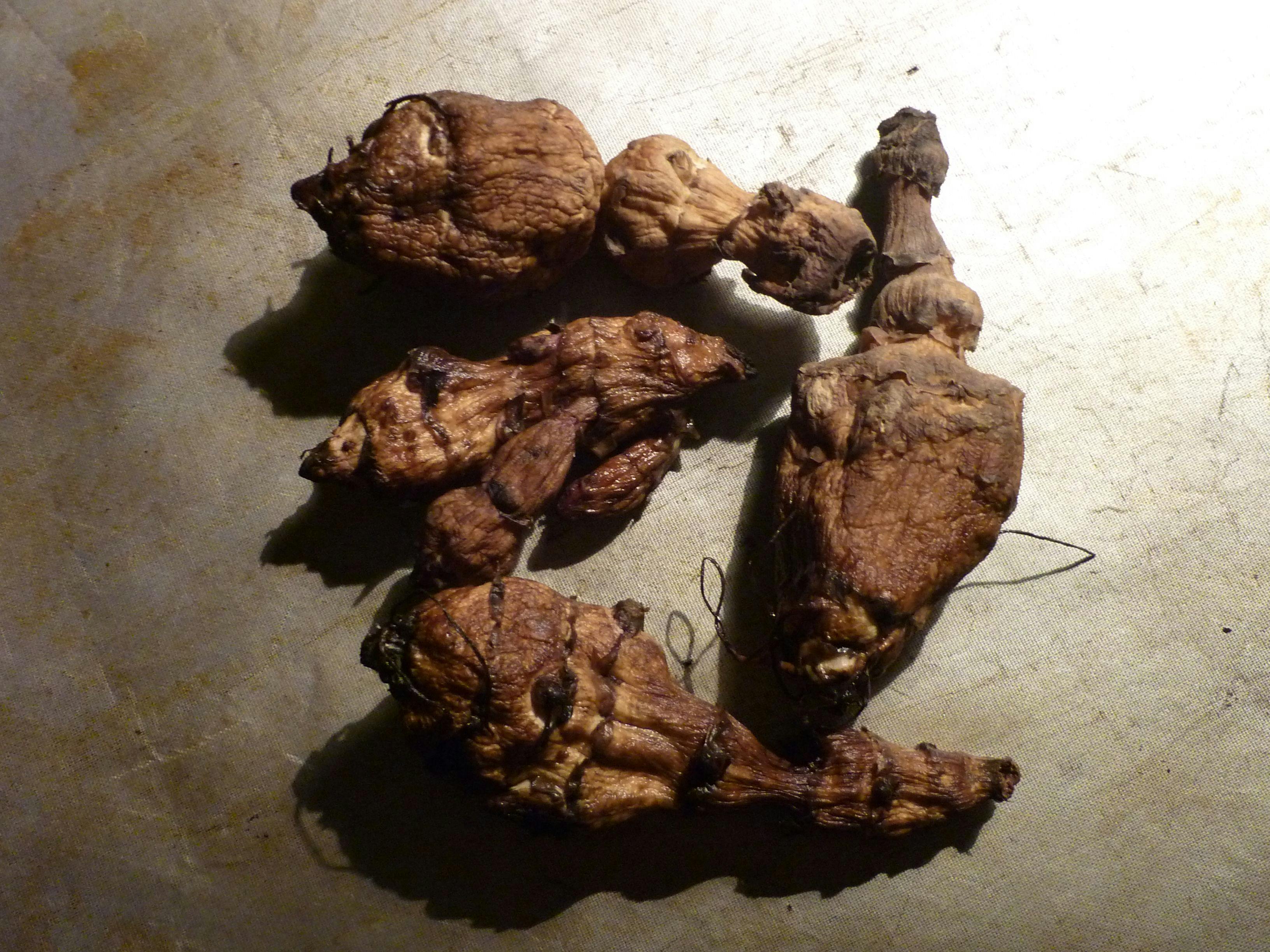 dried-tubers.JPG