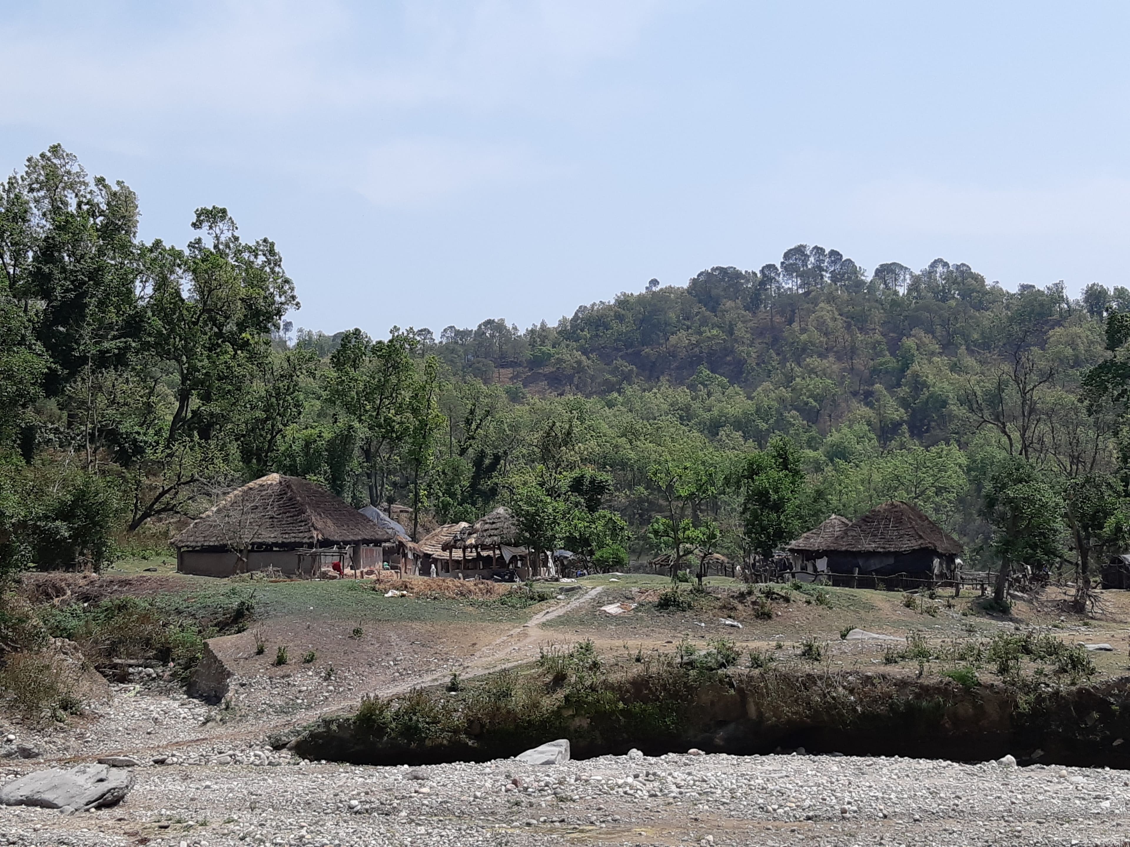 van-gujjar-dwelling.jpg